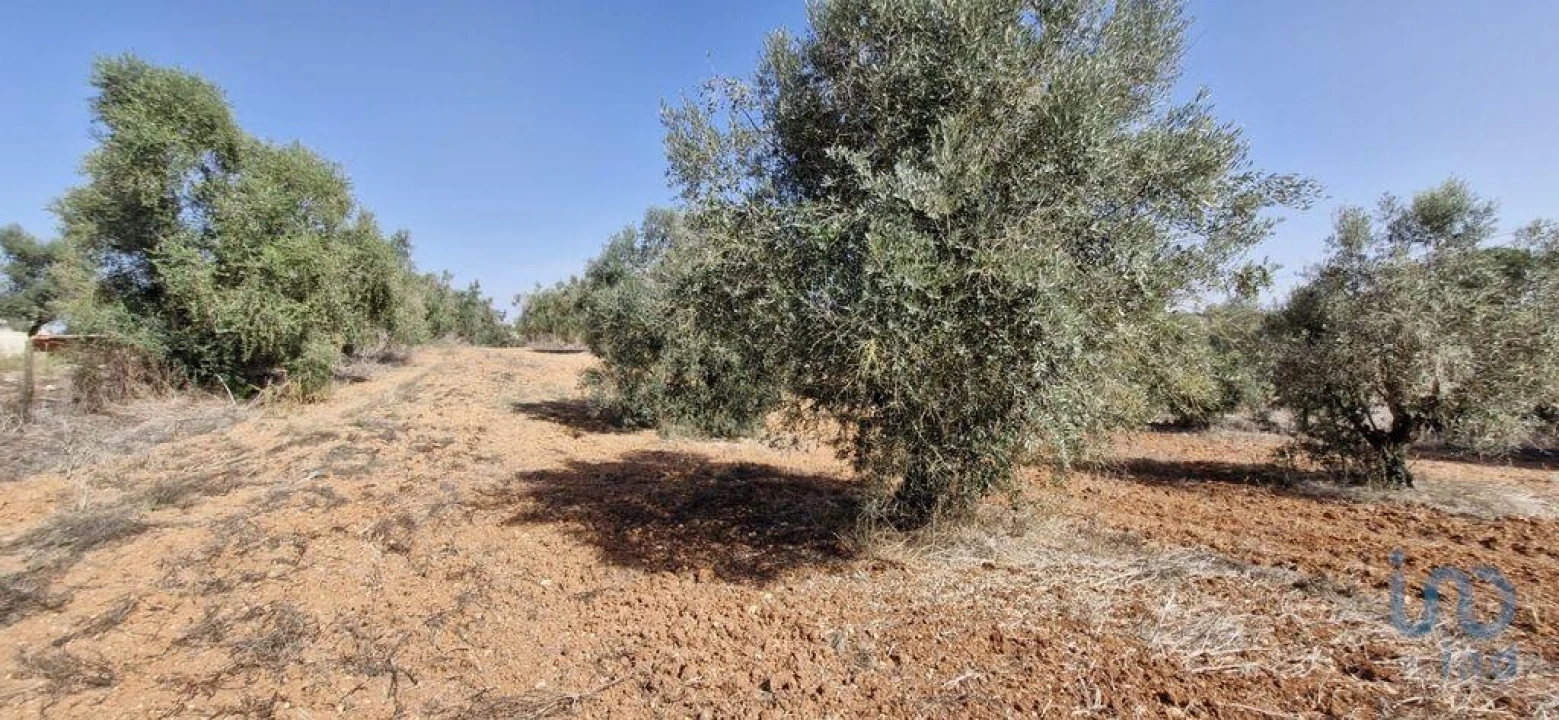 Terreno para Venda em Azambujeira e Malaqueijo Foto 10