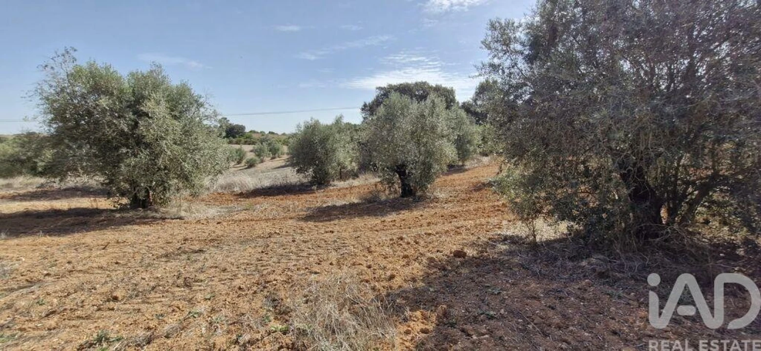 Terreno para Venda em Azambujeira e Malaqueijo Foto 16