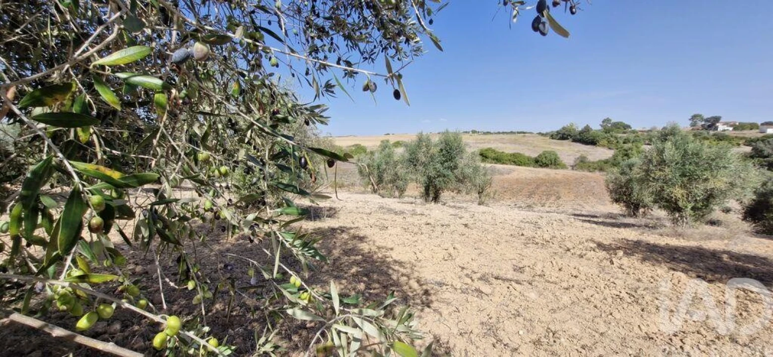 Terreno para Venda em Azambujeira e Malaqueijo Foto 24