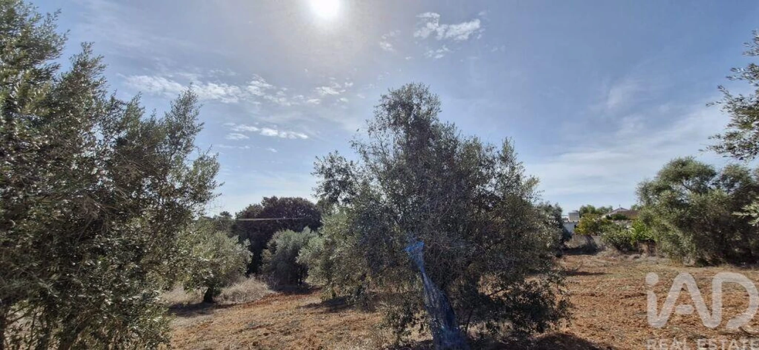 Terreno para Venda em Azambujeira e Malaqueijo Foto 15