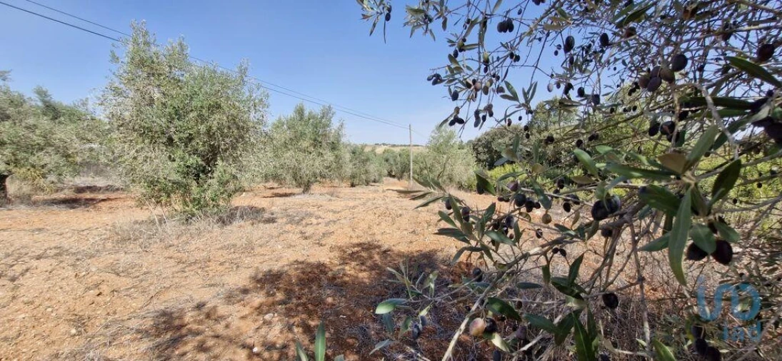 Terreno para Venda em Azambujeira e Malaqueijo Foto 5
