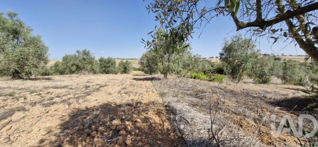 Terreno para Venda em Azambujeira e Malaqueijo Foto 17