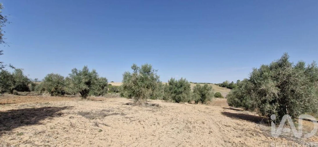 Terreno para Venda em Azambujeira e Malaqueijo Foto 18