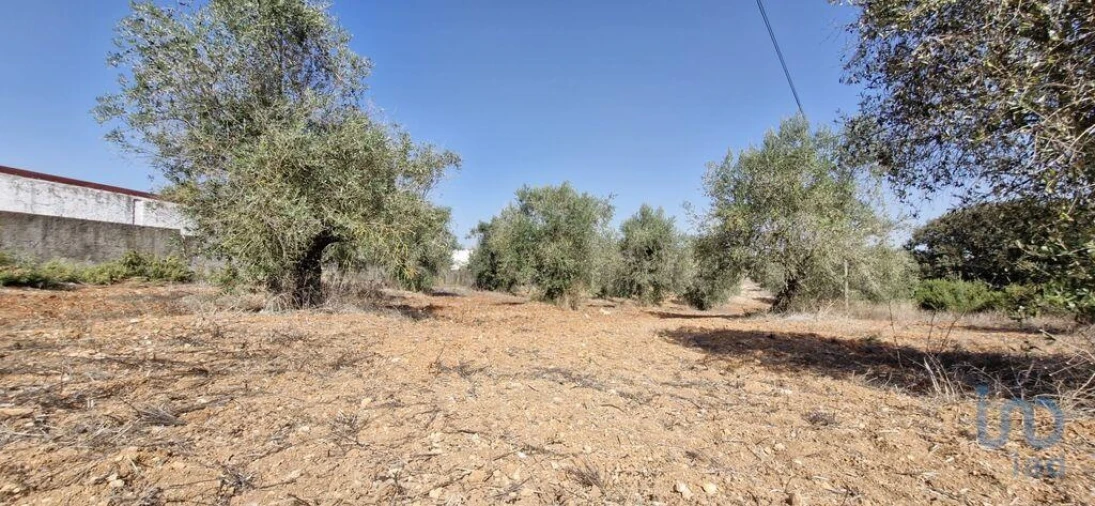 Terreno para Venda em Azambujeira e Malaqueijo Foto 7