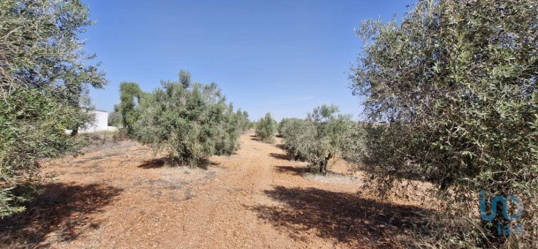 Terreno para Venda em Azambujeira e Malaqueijo Foto 11