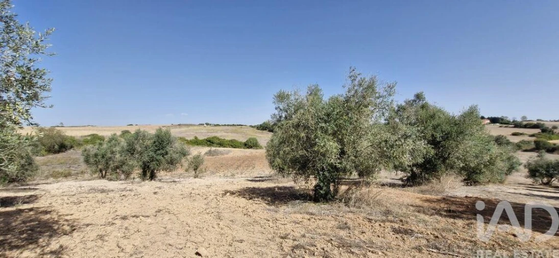 Terreno para Venda em Azambujeira e Malaqueijo Foto 20