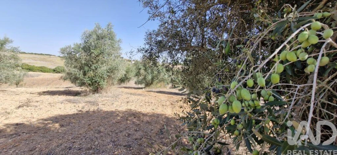 Terreno para Venda em Azambujeira e Malaqueijo Foto 21
