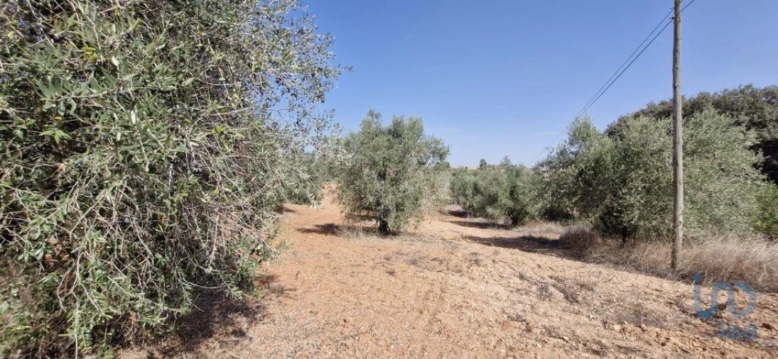 Terreno para Venda em Azambujeira e Malaqueijo Foto 6