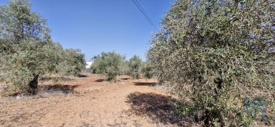 Terreno para Venda em Azambujeira e Malaqueijo Foto 4