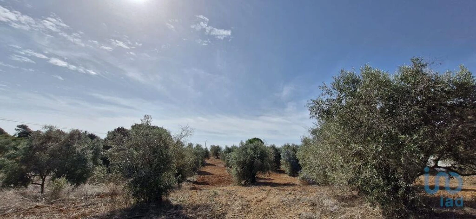 Terreno para Venda em Azambujeira e Malaqueijo Foto 14
