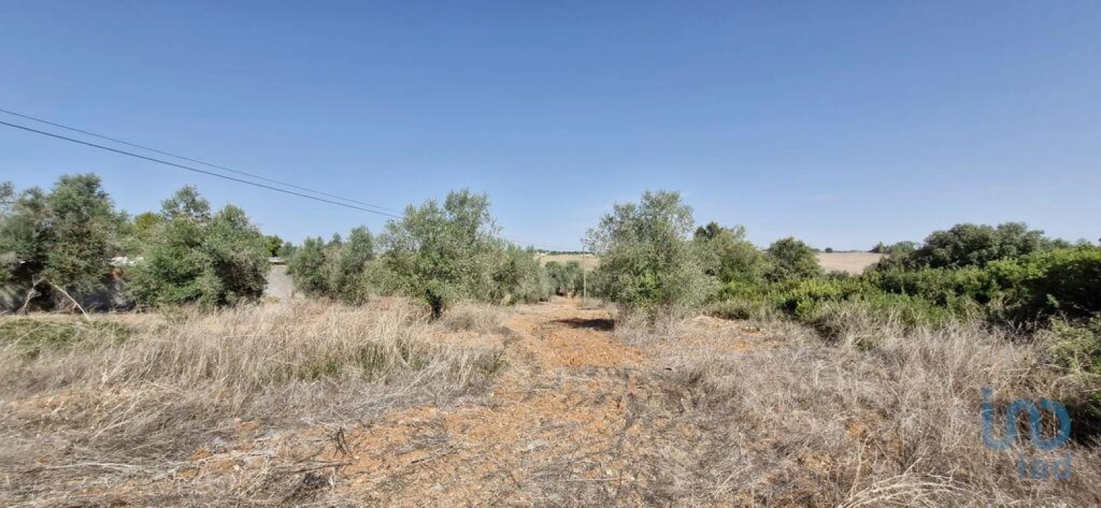 Terreno para Venda em Azambujeira e Malaqueijo Foto 1