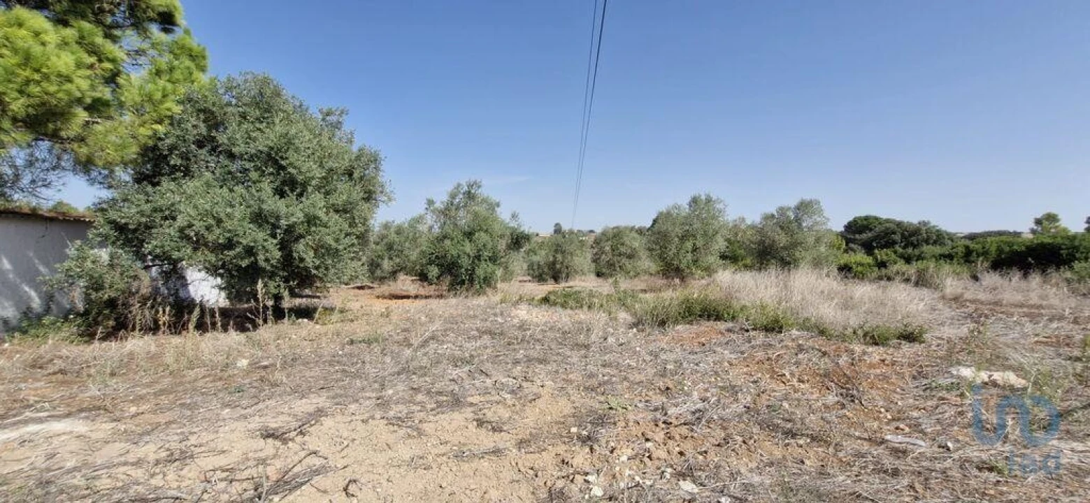 Terreno para Venda em Azambujeira e Malaqueijo Foto 3