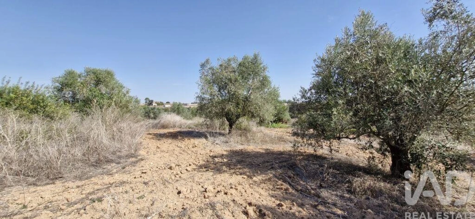 Terreno para Venda em Azambujeira e Malaqueijo Foto 19