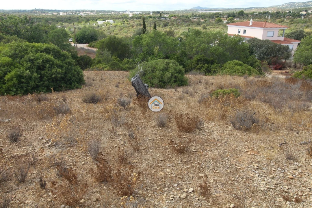 Terreno para Venda em Moncarapacho e Fuseta Foto 14