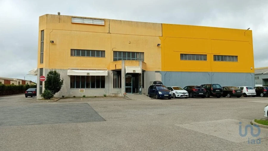 Negócio para Venda em Santa Maria e São Miguel, São Martinho, São Pedro Penaferrim Foto 2