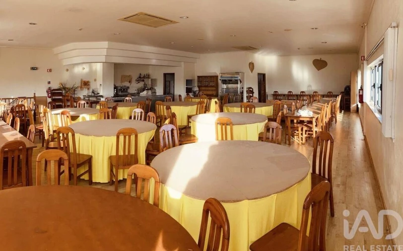 Negócio para Venda em Santa Maria e São Miguel, São Martinho, São Pedro Penaferrim Foto 16