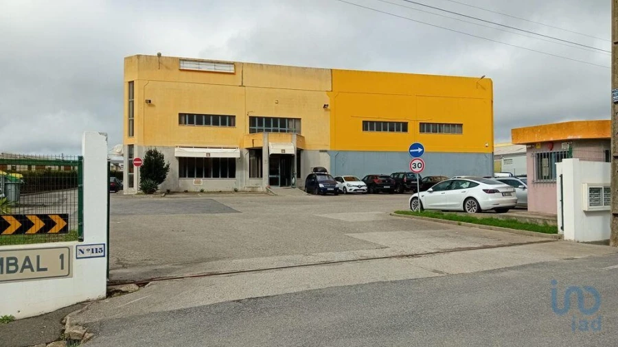 Negócio para Venda em Santa Maria e São Miguel, São Martinho, São Pedro Penaferrim