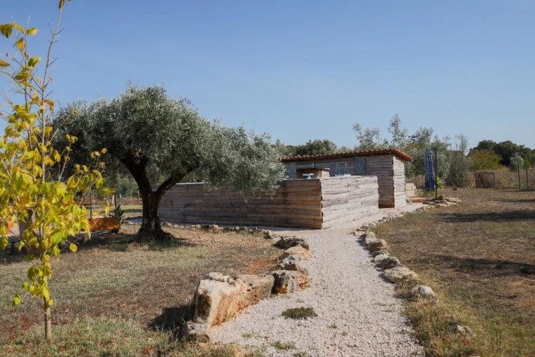 Moradia T2 para Venda em Nossa Senhora do Pranto Foto 28