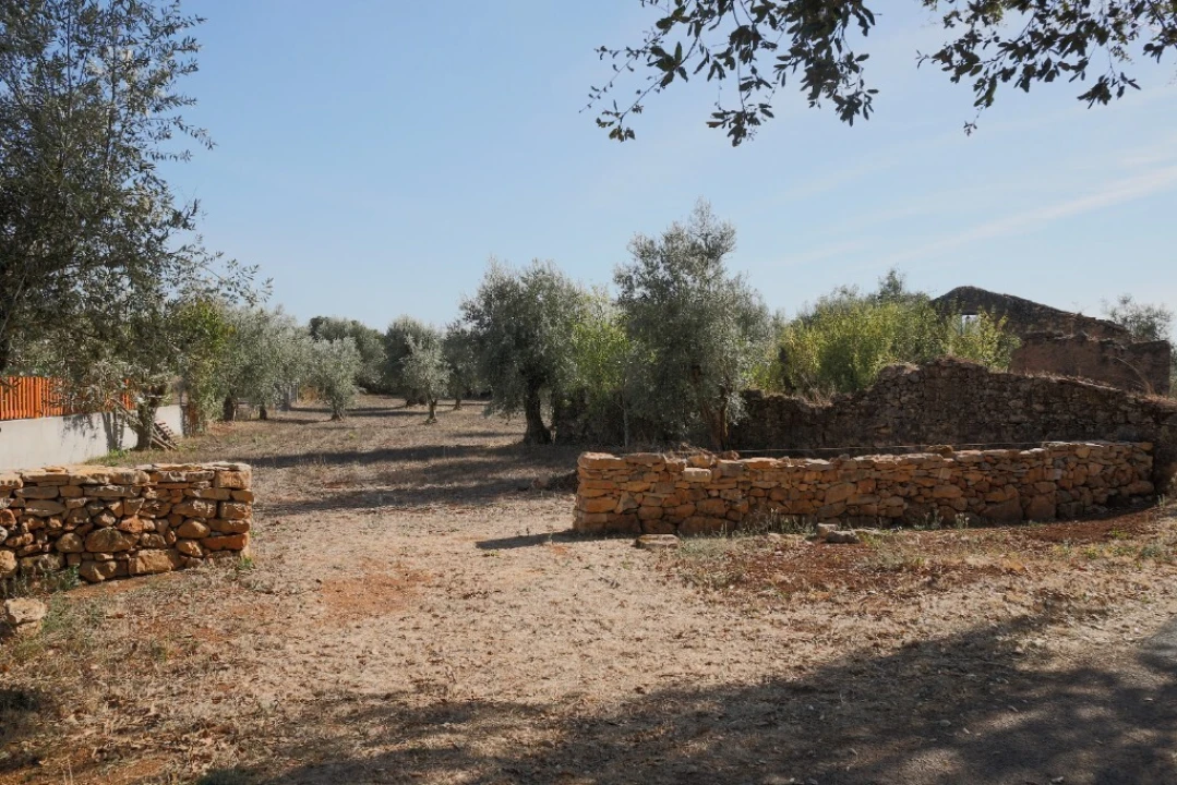 Moradia T2 para Venda em Nossa Senhora do Pranto Foto 27