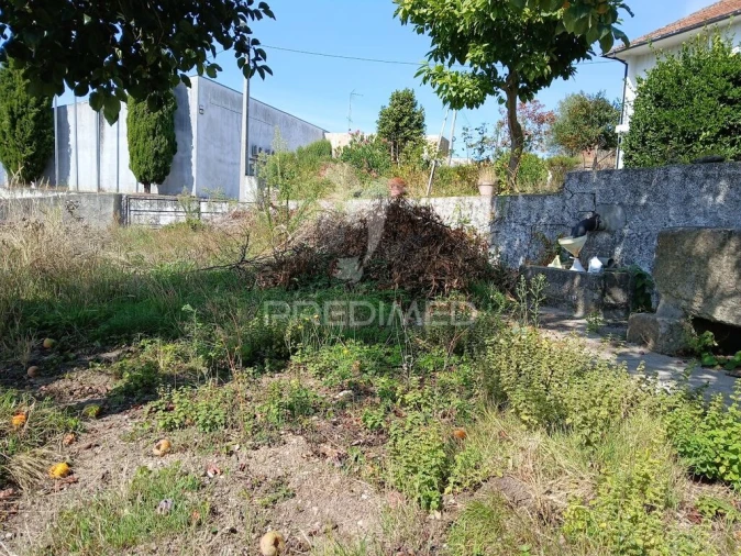 Moradia T3 para Venda em Ruivães e Campos Foto 18