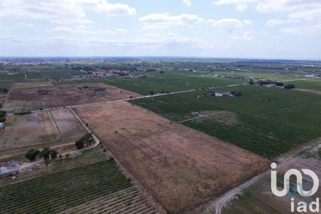 Terreno para Venda em Palmela Foto 13