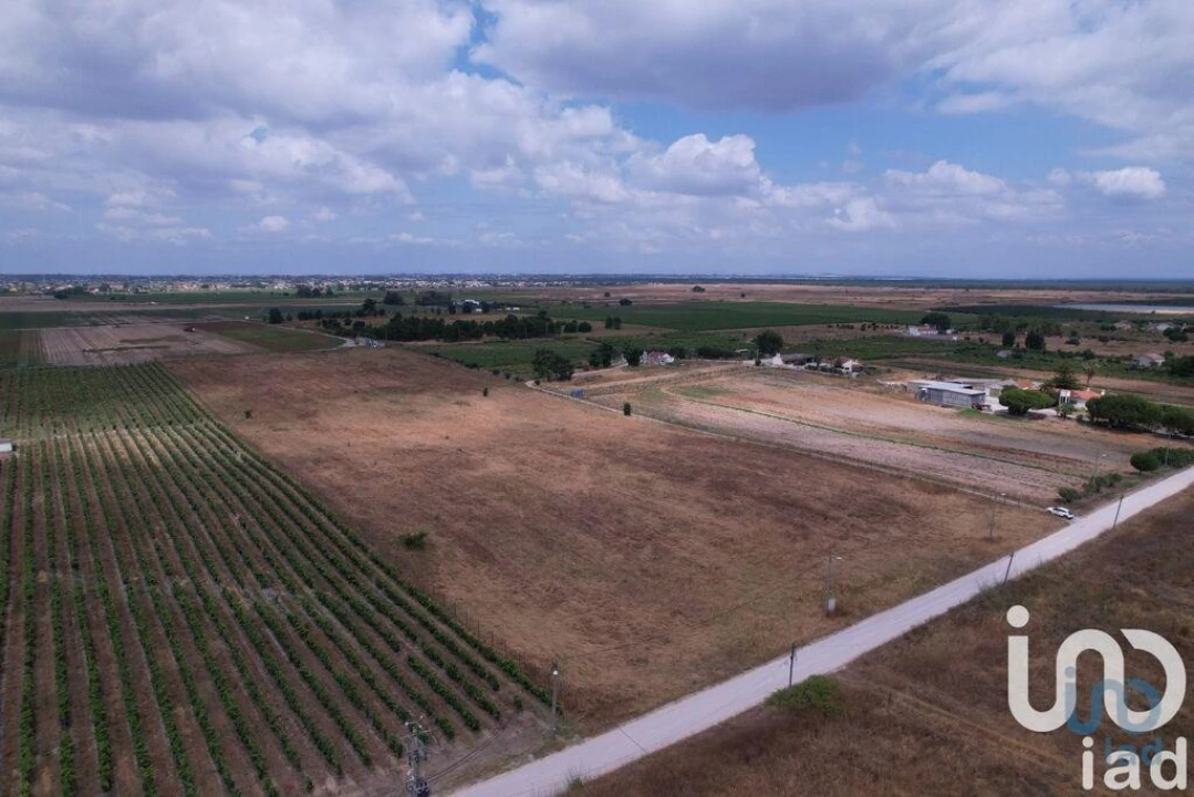 Terreno para Venda em Palmela Foto 10