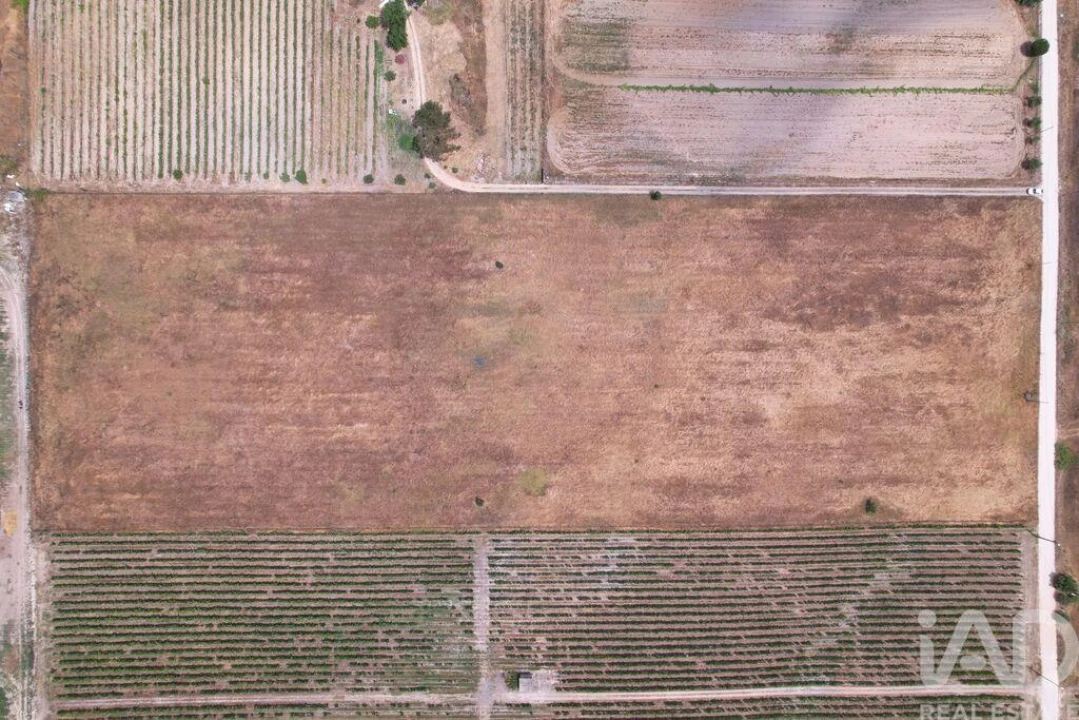Terreno para Venda em Palmela Foto 19