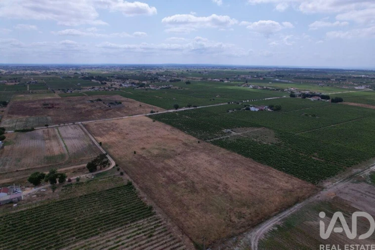 Terreno para Venda em Palmela Foto 23