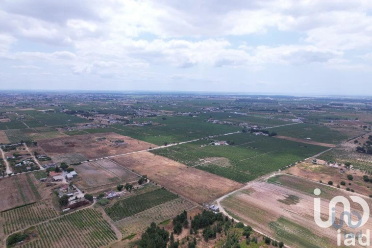 Terreno para Venda em Palmela
