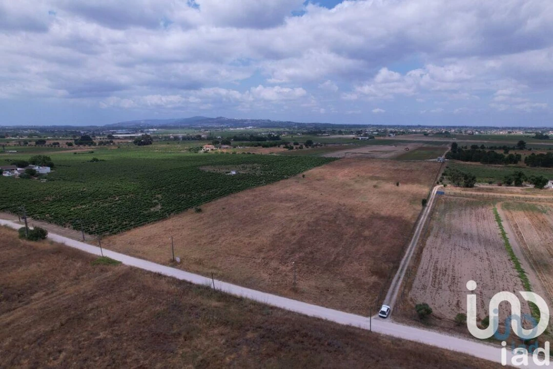 Terreno para Venda em Palmela Foto 11