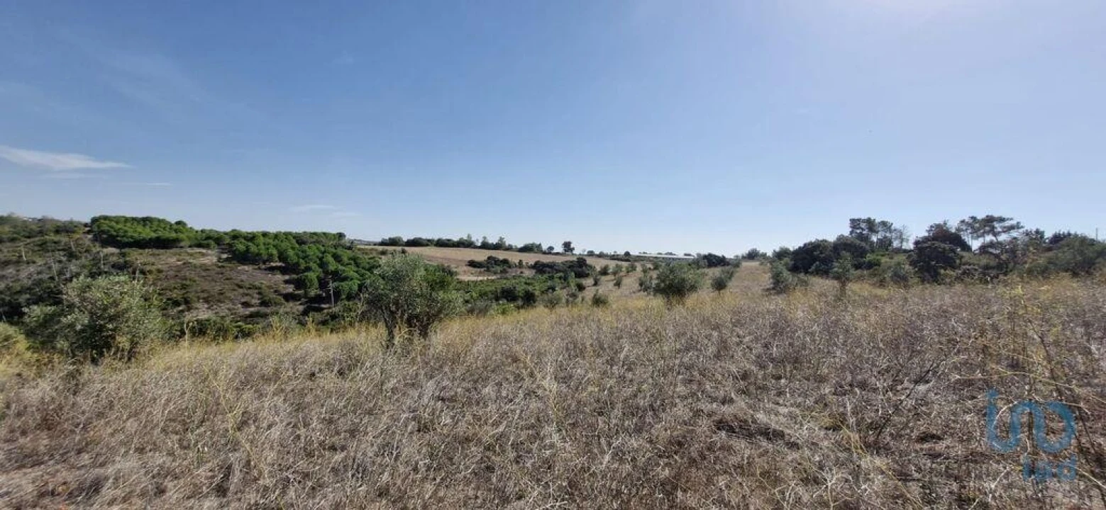 Terreno para Venda em Abitureiras Foto 2