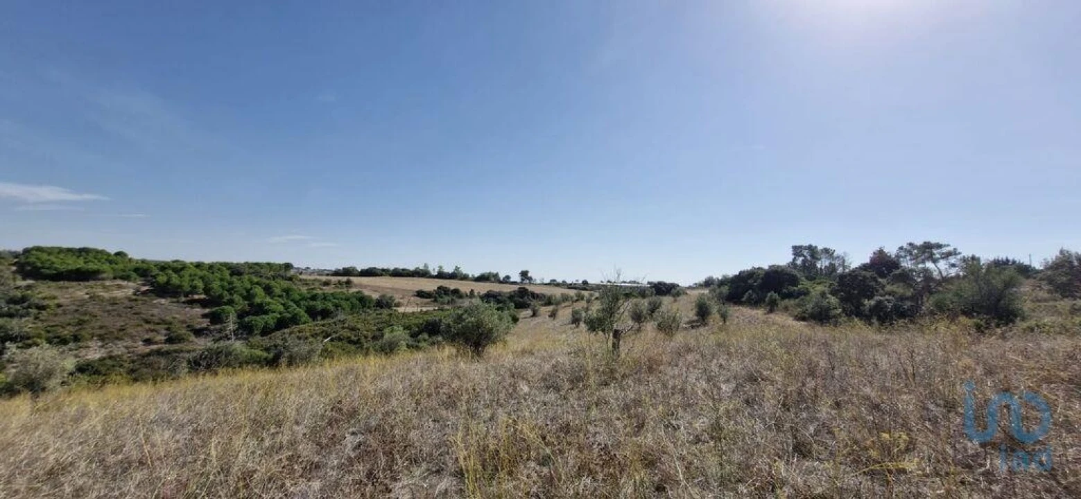 Terreno para Venda em Abitureiras Foto 6