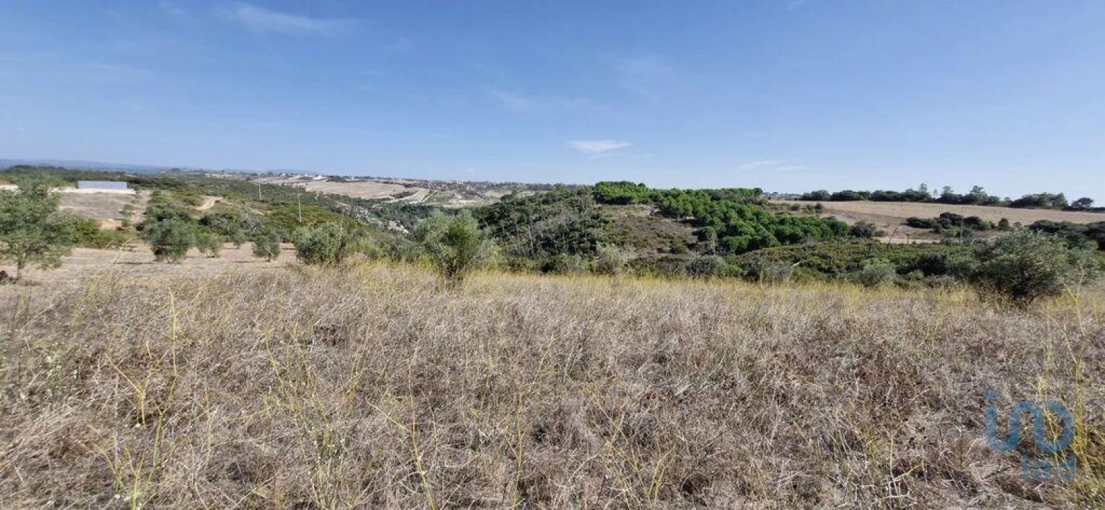 Terreno para Venda em Abitureiras Foto 5