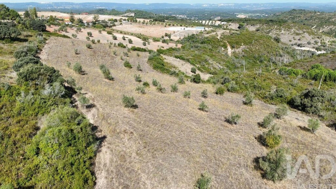 Terreno para Venda em Abitureiras Foto 19