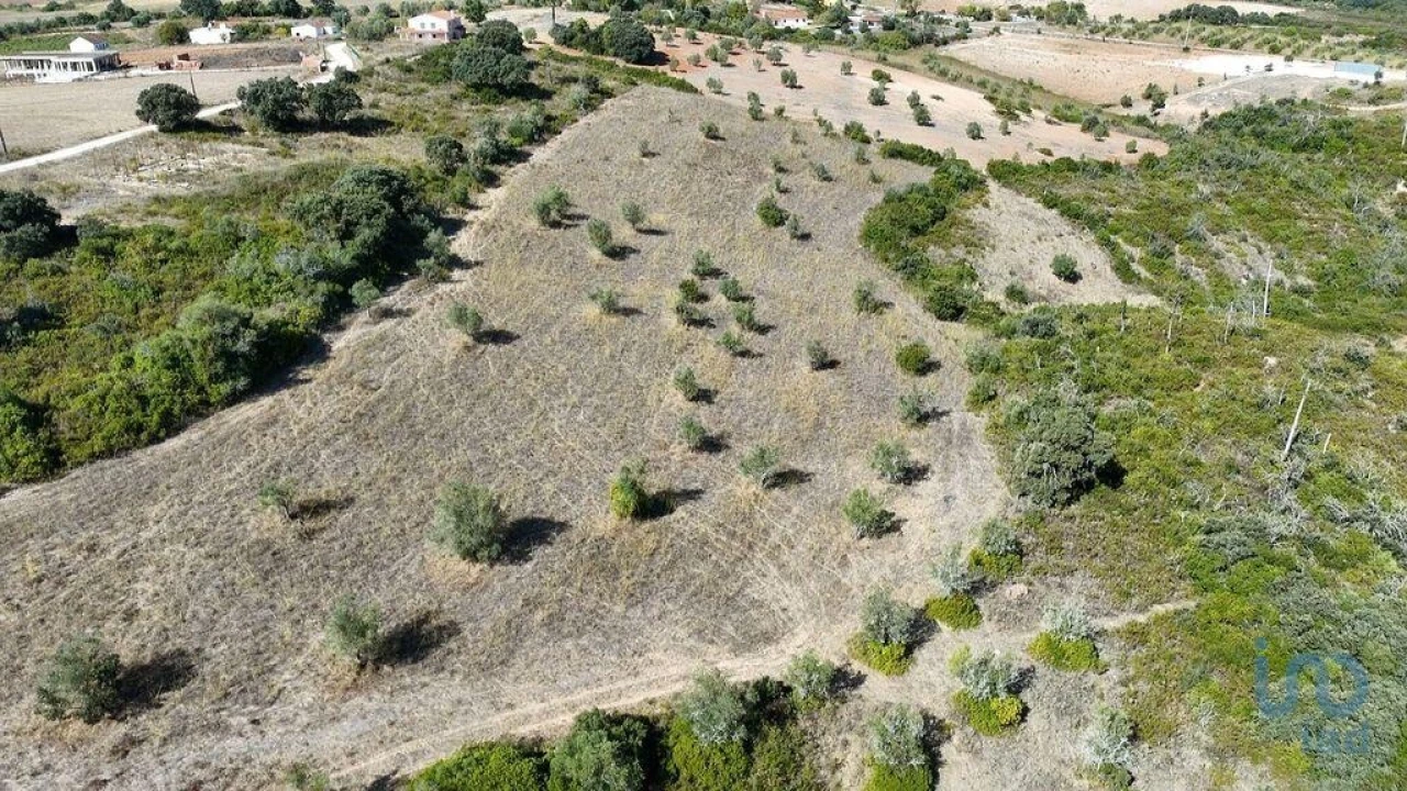 Terreno para Venda em Abitureiras Foto 1