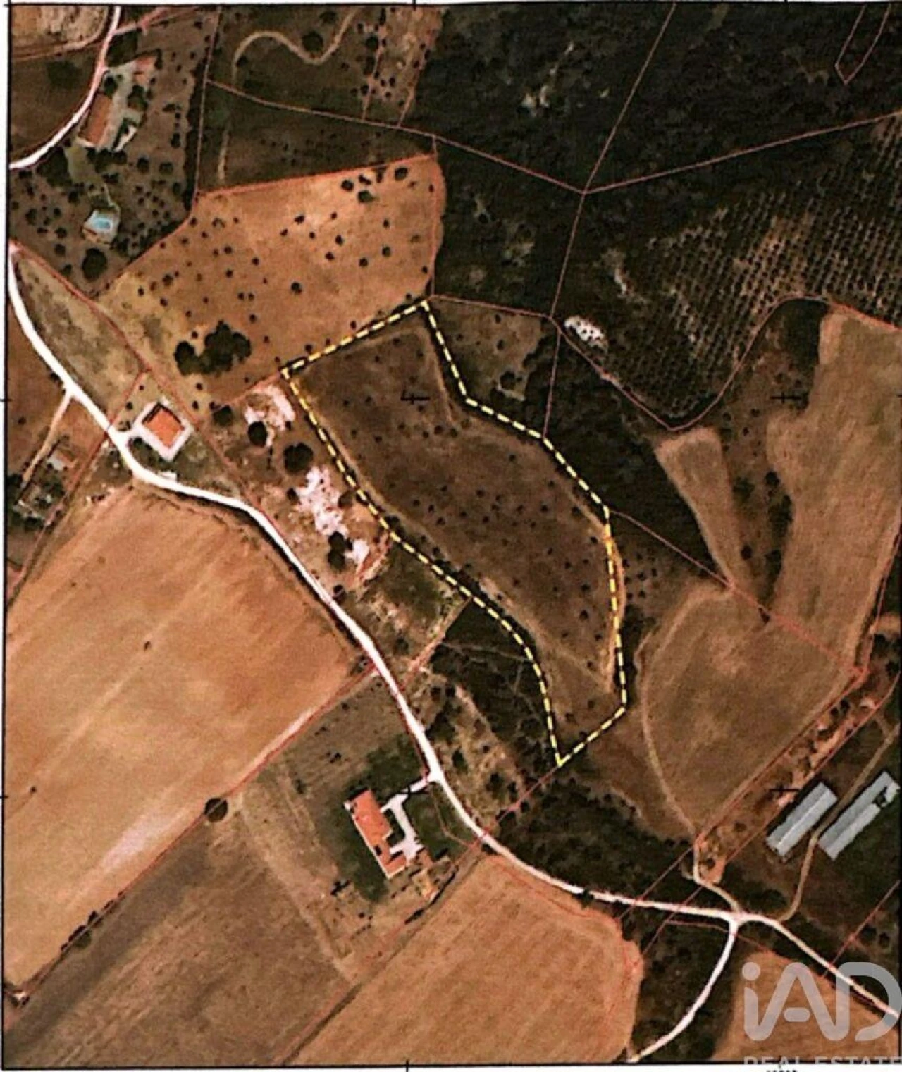 Terreno para Venda em Abitureiras Foto 25