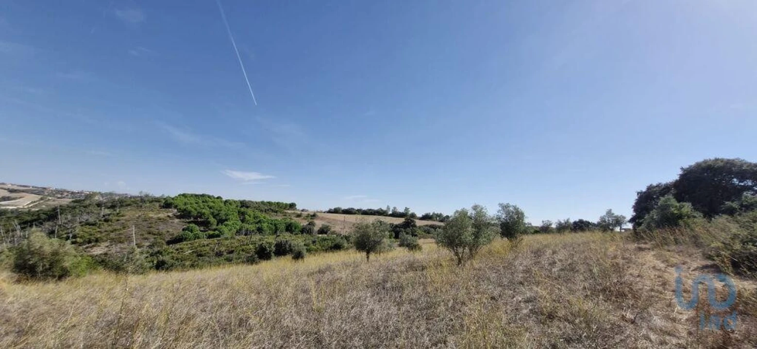 Terreno para Venda em Abitureiras Foto 7