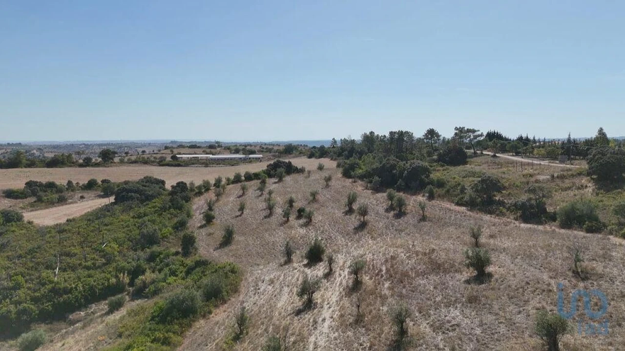 Terreno para Venda em Abitureiras Foto 12