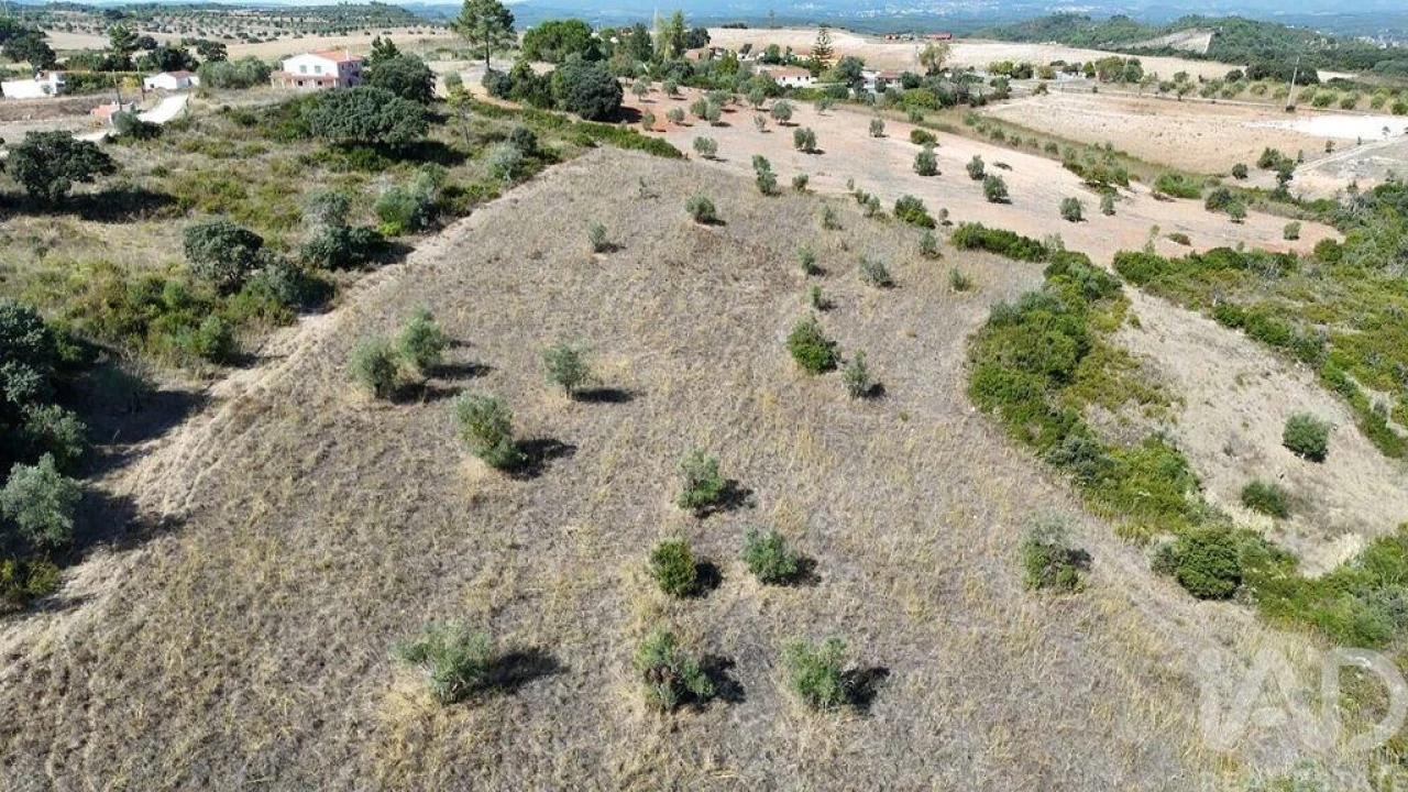 Terreno para Venda em Abitureiras Foto 16