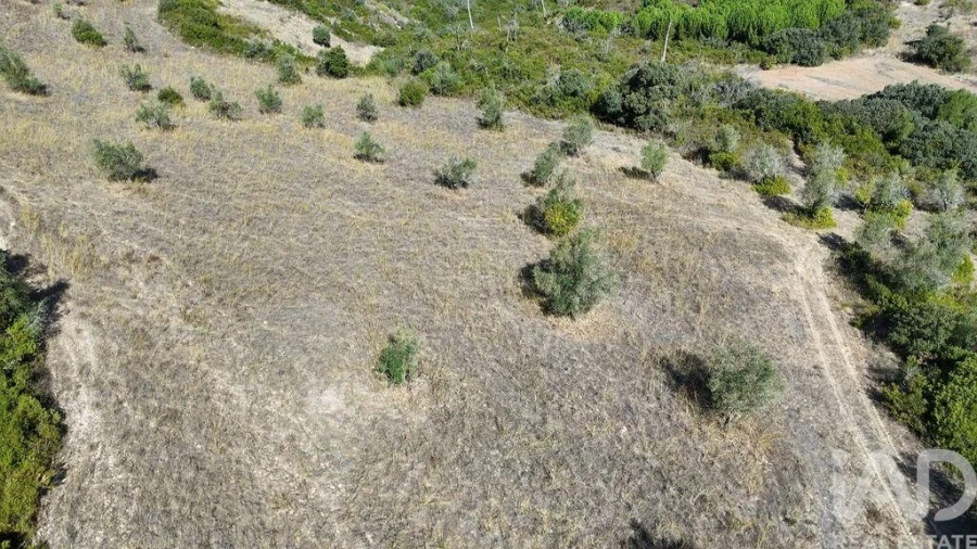 Terreno para Venda em Abitureiras Foto 20