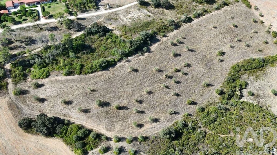Terreno para Venda em Abitureiras Foto 21