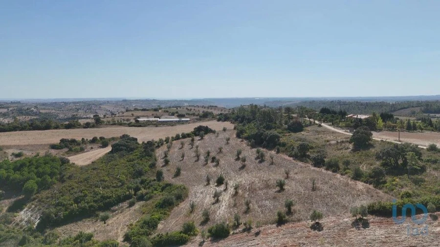 Terreno para Venda em Abitureiras Foto 11