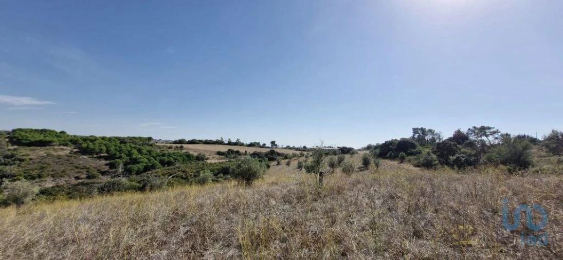 Terreno para Venda em Abitureiras Foto 6