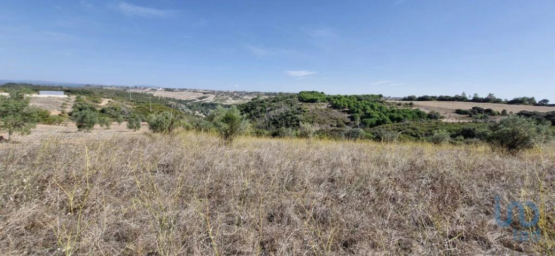 Terreno para Venda em Abitureiras Foto 5