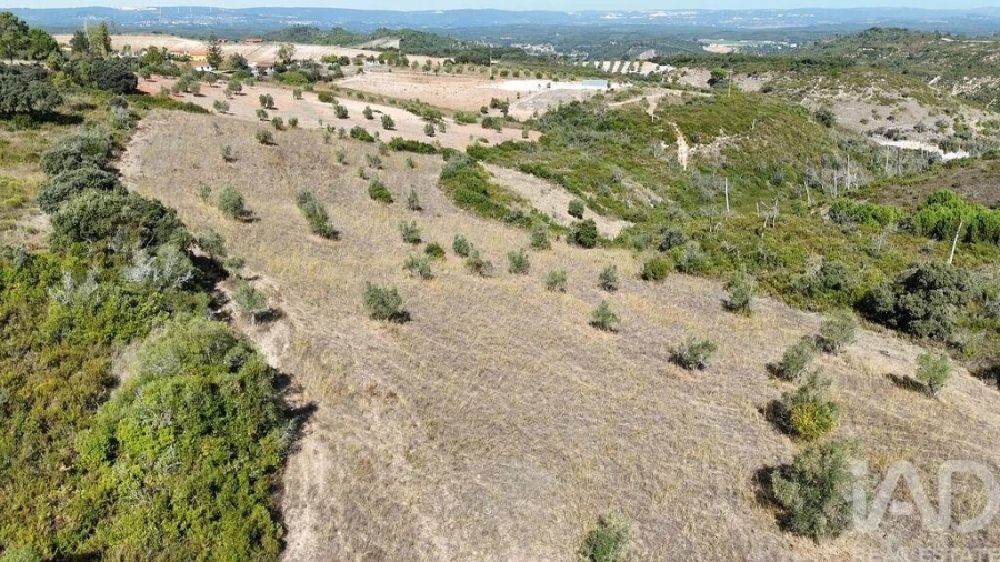 Terreno para Venda em Abitureiras Foto 19