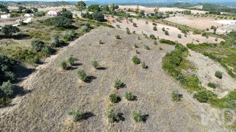 Terreno para Venda em Abitureiras Foto 15