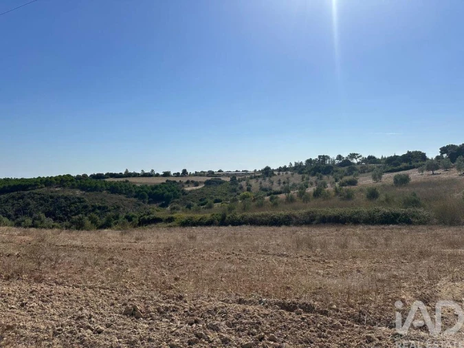 Terreno para Venda em Abitureiras Foto 22