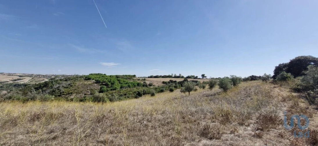 Terreno para Venda em Abitureiras Foto 3