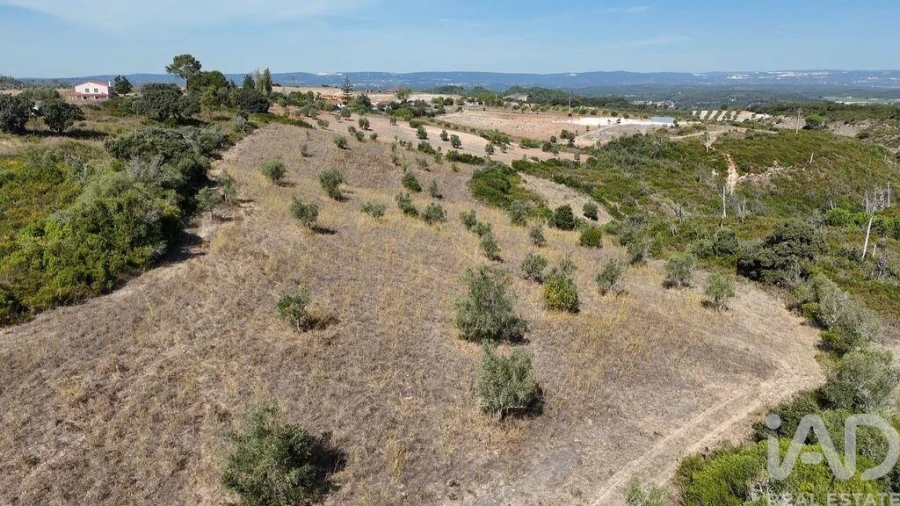 Terreno para Venda em Abitureiras Foto 18