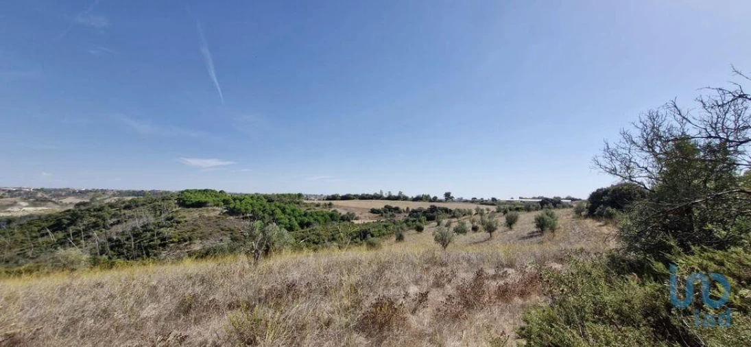 Terreno para Venda em Abitureiras Foto 10